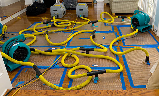 Professional Basement Flood Cleanup technician working in Lake Wilson, MN